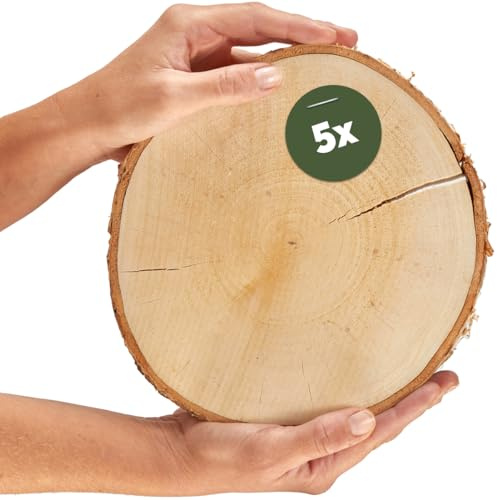 Große Holzscheiben 20 cm zum Holz-Deko Basteln - 5 Stk. runde EU Birkenholz Baumscheiben
