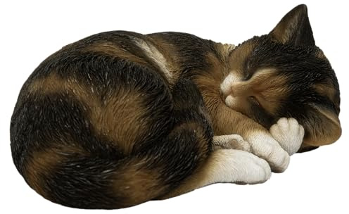 Vivid Arts - Schlafende Katze Schildkröte Muschel - XRL-ZC32-D