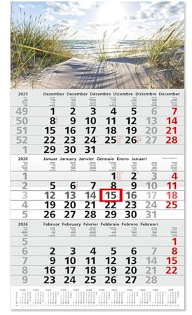 Timr calendario 3 mesi 2026 panoramica annuale - 53 cm - internazionale multilingue D/GB/F/I/E/NL - calendario da parete con cursore - motivo dune mare I tr341
