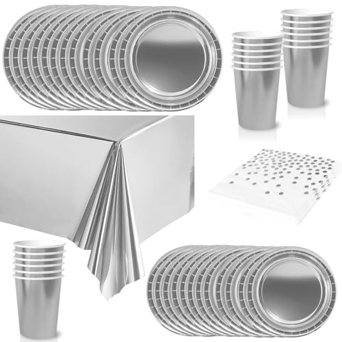 65Pcs Metallic Foil Silver Party Tableware Set,Plastic Silver Table Cloths Parties,Disposable Paper Plates,Napkins and Cups Dinnerware Set for Kids Adults Birthday,Wedding,Christmas Party Decorations