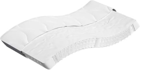 vidaXL Matratze Taschenfederkern, Taschenfederkernmatratze Atmungsaktiv Hautfreundlich, Bettmatratze Härtegrad Mittel, Stoffmatratze Federkernmatratze, 100x220cm