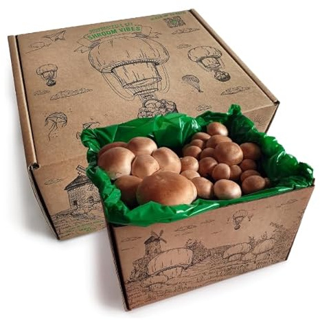 Pilzzuchtset für Zuhause – Komplettes Anzuchtset für braune Champignons – Champignonbox mit Substrat & Anleitung – Perfekt für Anfänger & Pilzliebhaber (Brown)