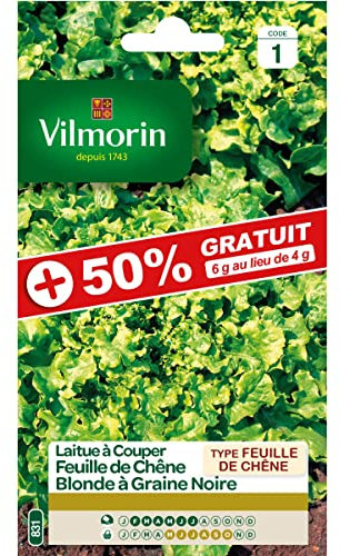 Vilmorin - Sachet graines Laitue à couper Feuille de Chêne blonde graines noires 50% Gratuit