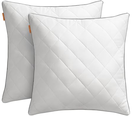SONGMICS HOME Oreillers, Lot de 2, Double Face, Hiver Été, 60 x 60 cm