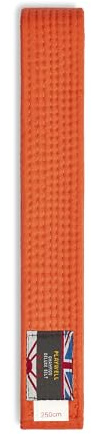 Playwell Cinturón de graduación de algodón de color sólido para artes marciales (karate, judo taekwondo), naranja, 220cm