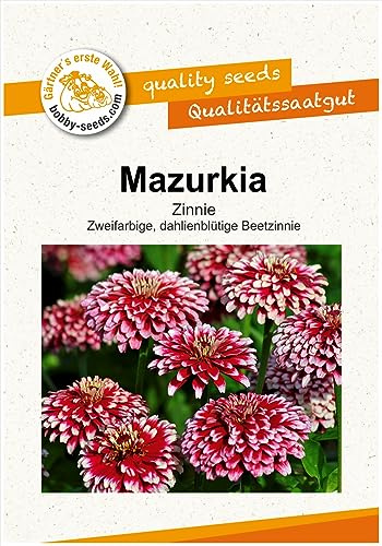 Blumensamen Mazurkia Zinnie Portion