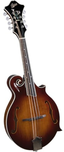Rover RM-85 Deluxe F-model Mandolin – Burgundy Burst