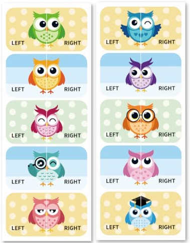 Peacoblue Autocollants pour Chaussures Apprentissage Gauche Droite, Hibou 100pcs(50 Paires)