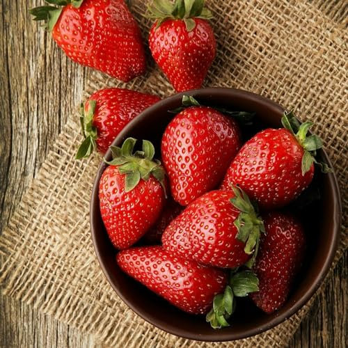 Carbeth Plants 1 x Strawberry Sweetheart Fruit Plant in 1L Pot - Easy to Grow Perennials for UK Gardens - Tasty Sweet High Yielding Outdoor Fruiting Plants for Beds, Borders or Pots