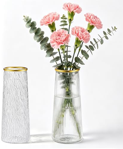 Vases, Set of 2 Glass Flower Vase, Decorative Flowers Vases Glass Vase for Living Room Glas Vasess Handmade Clear Glas Cylinder Posy for Wedding Dinner Table Office Bedroom