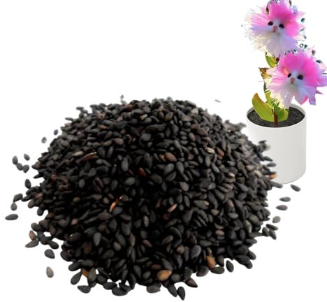 Cat Face Flower Orchid Seeds, Cute Novelty Orchid Flower Plant Seeds, Enhance Indoor Spaces with Beauty Natural Fragrance for Bedroom Study Room, Decorative Fresh Blooms
