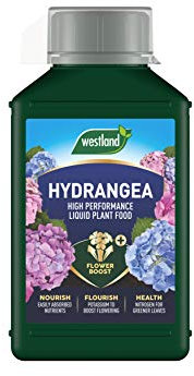 Westland Hydrangea High Performance Liquid Plant Food 1 Litre Green