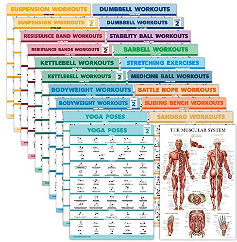 Palace Learning Übungsposter-Set: Hantel, Aufhängung, Kampfseil, Stretching, Körpergewicht, Langhantel, Yoga, Gymnastikball, Muskulatur, Widerstandsbänder und mehr, laminiert, 45,7 x 61 cm, 20 Stück