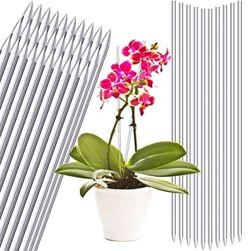 Chunful 30 Pcs 15.6 Inch Acrylic Plant Stakes Garden Sticks Clear Orchid Stakes Plant Sticks for Potted Support Tomatoes Flowers Grow Upright