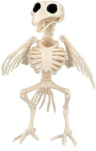 Boland - Dekoration Skelett Vogel, 20 cm | Knochengerüst für Halloween, Karneval und Horror Mottoparty, Rabe, Tiere