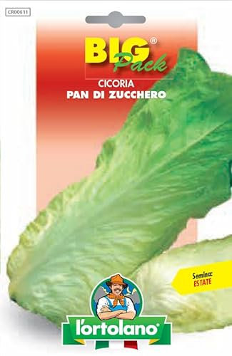 Sementi di cicoria Pan di Zucchero in busta grande (Big Pack L'Ortolano)