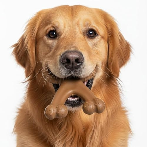 Glamuzina Group Kauspielzeug Hund – Hundespielzeug für Starke Kauer & Welpen – Bissfestes Hunde Spielzeug für große & kleine Hunde – Welpen Kauspielzeug zur Zahnpflege & Beschäftigung