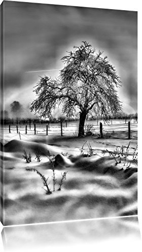 Pixxprint Baum in Winterlandschaft, Größe: 80x60cm, Leinwandbild, fertig gespannt, Wandbild, Dekoration, Kunstdruck, kein Poster