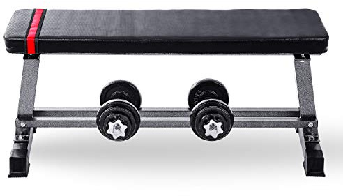 Lions Weight Bench - Multi Gym Flat Bench with Dumbbell Rack, Adjustable Incline Decline Exercise Board for Press Up, Weightlifting, Fitness Training, Easy to Assemble