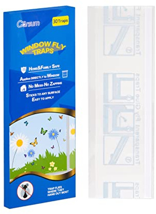 Garsum Paquete de 60 trampas adhesivas para moscas de ventana, para interiores, transparentes, papel para moscas de casa, cinta adhesiva para moscas, calcomanías para ventana para el hogar