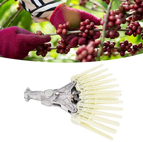 ZJchao Rake de Frijol de café, 26 Mm 9t Rake café Frijol Cacao Herramienta de Cosecha de Oliva Reemplazo de la Cabeza Cosechadora 9t Herramienta Alveolar Herramienta Jardín Accesorio de