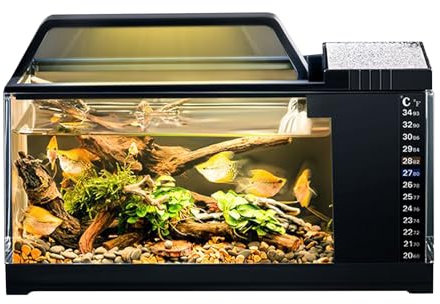 Kit Acquario Completo - Vasca Acquario con Illuminazione a LED e Filtro Integrato - Pompa Silenziosa Piccola con Filtro, Accessori Intelligenti da Scrivania per Decorare Camera da e Soggiorno
