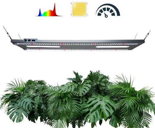 Invisible Sun LED 240w F BAR Full Spectrum Led Grow Light for 2ft x 4ft Replaces 600w Powered by The Next Generation Samsung LM301H EVO UK Manufactured 3 Year Warranty
