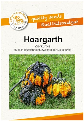 Kürbissamen Hoargarth, bunter Kürbis Portion