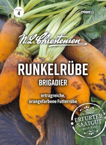 Runkelrübe, Brigadier orangefarbig N.L.Chrestensen Samen 29908913