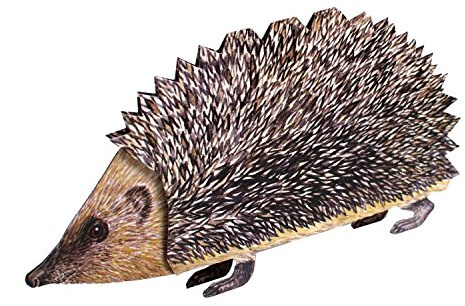 NIEDLICHER IGEL 3 D pop-up-kort/lyckönskningskort med en vänlig iggel