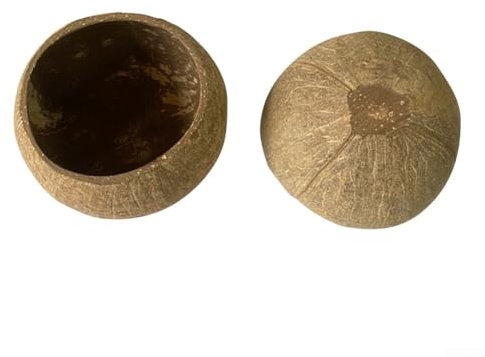 Juego de cuenco y vela de coco sostenible hecho a mano, perfecto para cualquier ocasión (concha primitiva)