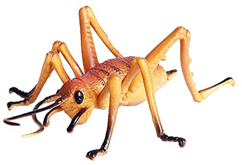 JOKFEICE Réaliste Animal Chiffres Figurines de Cricket Insectes Jouet, Projet Scientifique, Gâteau Topper, début Jouets Éducatifs d'anniversaire Cadeau De Noël pour Les Tout-Petits Enfants Âge 3 4 5