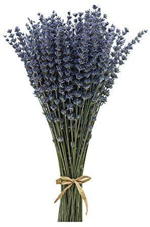 CoolCrafts Ramos de Lavanda Seca, 100 Ramitas de Lavanda Seca Natural, Flores Secas Decoración del Hogar Ramos de Boda