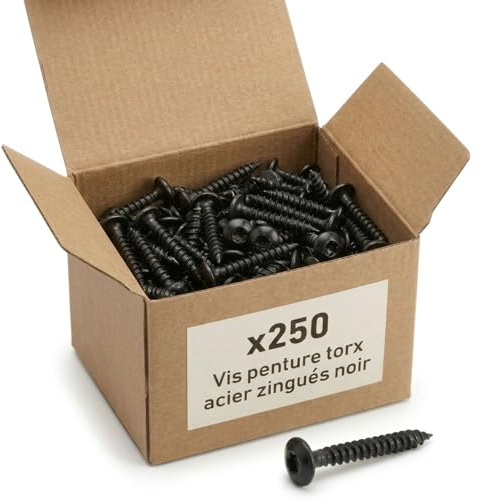 250 Vis Penture Torx acier zingués Noir - diamètre 5 mm - Longueur 30 mm