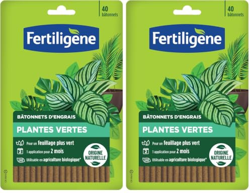Bâtonnets d'engrais plantes vertes 40 bâtonnets (Lot de 2)