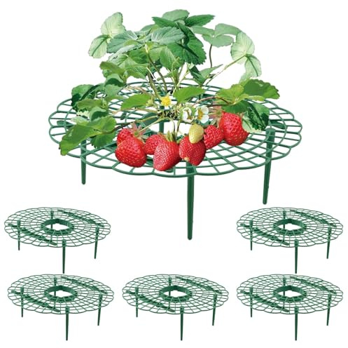 Wuyue Hua Paquete de 5 Soportes de Cultivo y Protección de Fresas - Soporte para Plantas de Fresa