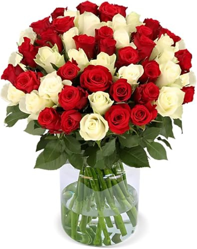 Blume Ideal Rosenstrauß - 60 Rosen - Rot & Weiß - Ø 40–50 cm - Echte premium Blumen für Hochzeit & Deko - 7 Tage Frischegarantie - in verschiedenen Farben und Mengen