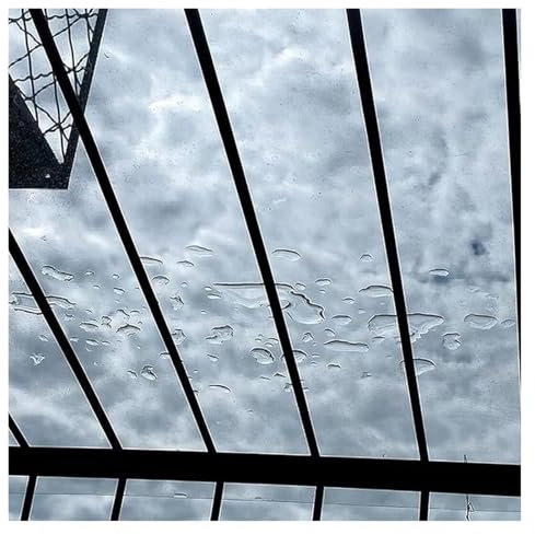 RLINZ Dachvordächer, Gewächshäuser-Verkleidung, Polycarbonat-Dachplatte, regenfeste Isolierung, für Überdachung, Carport, Stadien, Busunterstände (1 x 9 m)