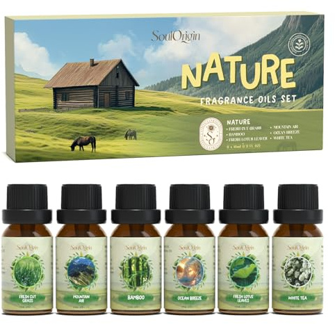 SoulOrigin Natürliche ätherische Öle Set, Duftöl Set für Öl Diffuser, Duftöle für Seifenkerze Herstellung 6x10ml frisches geschnittenes Gras, Bergluft, Bambus, Meeresbrise