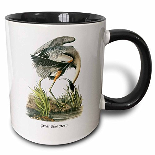 Tasses De Petit Déjeuner Humour Tasses 330Ml, Héron Bleu De John James Audubon Tasse En Céramique Café Personnalisée Pour Thé Femme Fête Des Pères