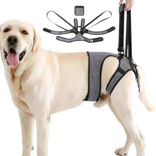 Imbracatura di Supporto per Cani Regolabile In Tessuto Elastico A Sgancio | Imbracatura Per Sollevamento Cane Per Zampe Posteriori Per Passeggiate All'Aperto Visita