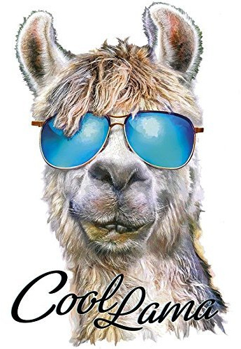 Ideen mit Herz Color Bügeltransfer, DIN A4, Lama-Serie | Textilien wie T-Shirts & Taschen mit Bügelmotiven verzieren | Bügel-Bilder schnell & einfach aufbügeln | DIY Textildesign - Cool Lama
