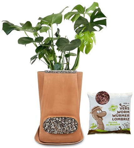 Moutta｜Transfarmers Pot de Fleurs et lombricomposteur en Terre-Cuite Naturel 17L｜Pack avec 250gr de vers de Compost
