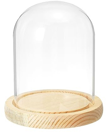 PATIKIL 5.1x3.9 Klar Cloche Glaskuppel Glas Glocke Vitrine Tischplatte Tafelaufsatz mit Holzsockel für LED Licht Pflanzen Heimdekoration