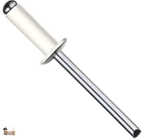 BricoLoco Remache blanco tubular estándar Pop DIN 7337. Ciego. Cabeza redonda alomada de aluminio y vástago de acero. Industrial. Especial matrícula. (250, 4,8x16)