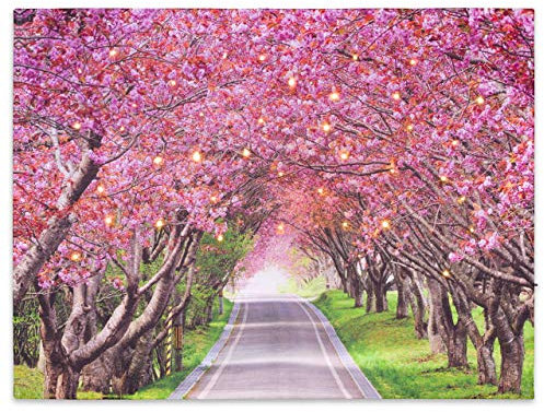 Nexos Trading LED Wandbild Leinwandbild mit Beleuchtung Fotodruck Allee 30x40 cm Kunstdruck Leuchtbild Frühling Blüten 40 Glasfaser-LED weiß