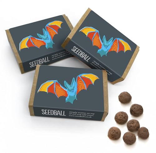 SEEDBALL Bat Mix Wildflower Seed Bombs (Pack of 3, 6 Balls Per Box) | Eco Friendly British Wild Flower Seeds Mix for Attracting Bats to Your Garden | Stocking Filler & Happy Halloween Gardening Gifts