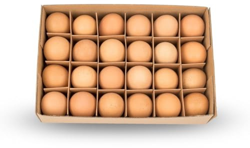 NaDeco Natürliche Dekoeier von, Gänseeier, Wachteleier, Hühnereier, Enteneier, Truthahneier für Ihre Osterdekoration zur Auswahl, Farbe:Hühnereier Braun 24 Stk.