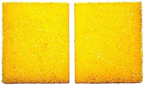 BricolagePro - 2 Éponges Anti-Insecte XXL – Voiture, Moto, Bateau - Élimine Les Insectes Sans Rayer. 12 x 10 x 4 cm
