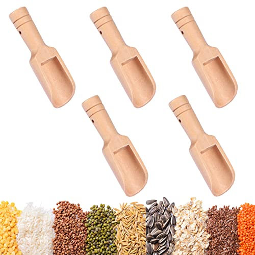 Mini Cuchara Sal 5 Piezas Cuchara Especias Mini Cucharas Cocina Madera Cuchara Madera Pequeña Mini Pala Madera Mini Pala Té Mini Cuchara Café para Sal Leche En Polvo Café Especias Té Dulces